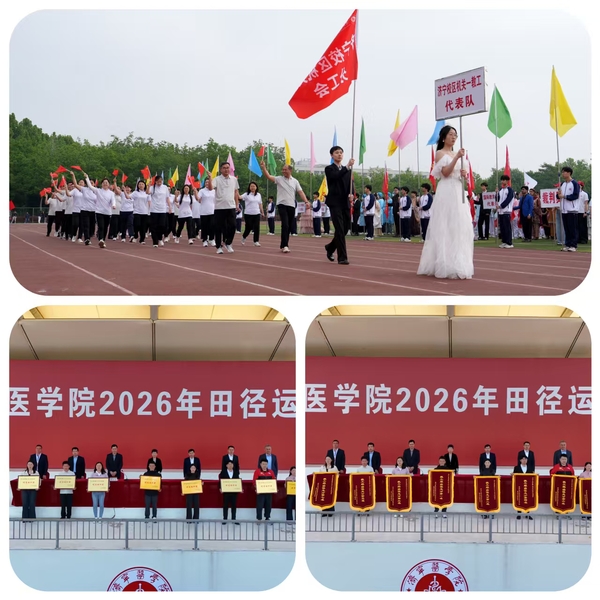 喜报：荣耀蝉联！济宁校区机关一...